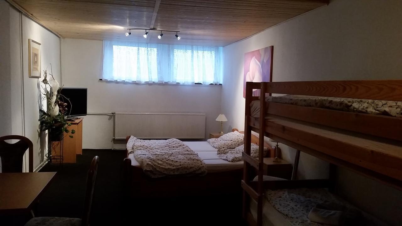 Pension Und Restaurant Die Burg Ehrenfriedersdorf Bagian luar foto