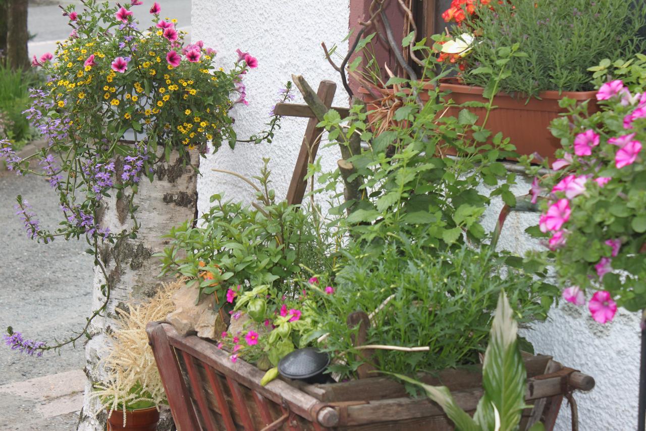 Pension Und Restaurant Die Burg Ehrenfriedersdorf Bagian luar foto